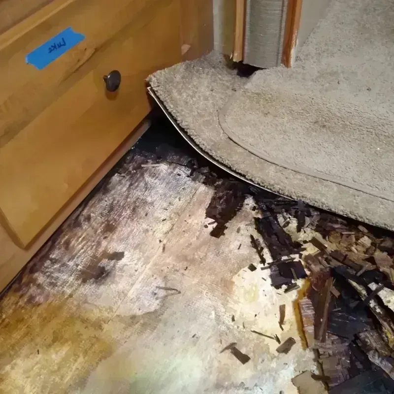 Wood Floor Water Damage in West Columbia, TX